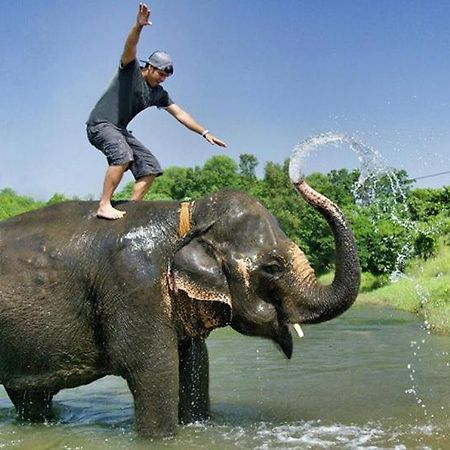 Hotel Royal Safari 치트완 외부 사진