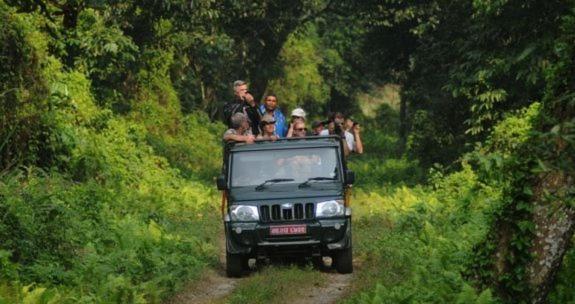 Hotel Royal Safari 치트완 외부 사진