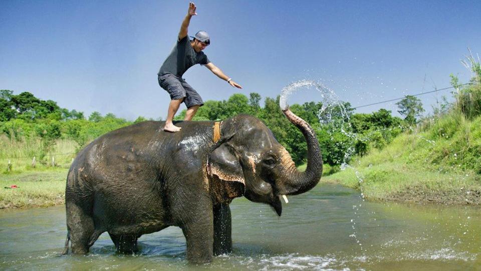 Hotel Royal Safari 치트완 외부 사진