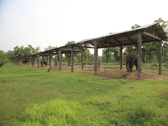 Hotel Royal Safari 치트완 외부 사진
